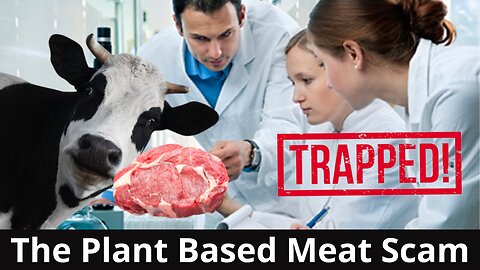 The Toxic Plant Based Meat Scam!