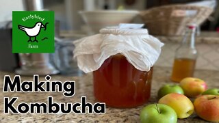 How To Make Kombucha- Part 2