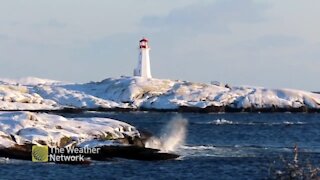 Lighthouse overlooks a sunny day by the ocean