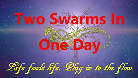 Two Swarms in One Day