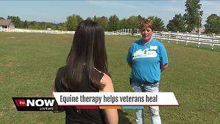 Equine therapy program helps veterans and their families cope with loss and PTSD