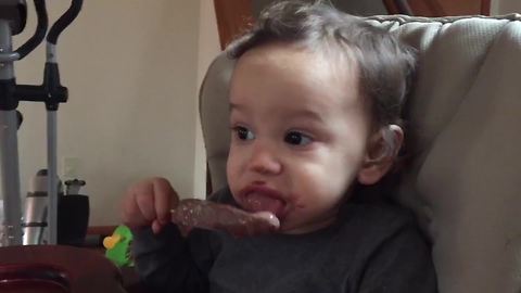 Toddler Boy Licks Chocolate Ice Pop Like A Dog