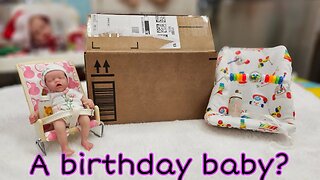 Box Opening of REALISTIC FAKE Silicone Baby Doll from AMAZON!