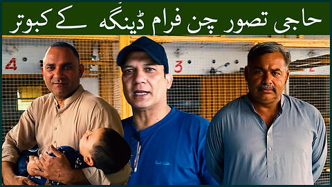 HajiTasawar Chan Pigeons From Dinga Watch In HD Urdu/Hindi