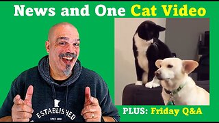 The Morning Knight LIVE! No. 1157- News and One Cat Video Plus: Friday Q&A