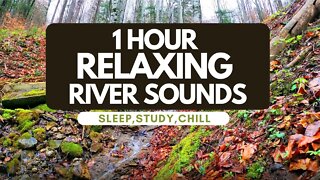 RELAXING RIVER SOUNDS 1 HOUR - THE BEST WAY FOR DEEP SLEEPING, STUDY, CHILL