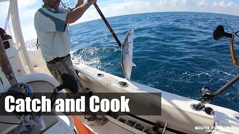 SUPER GOOD offshore trigger fish | Catch and Cook