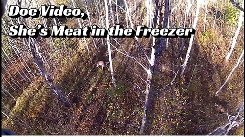 Doe Video, She’s Meat in the Freezer