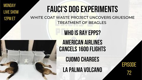 EP72: Fauci's Dog Experiments, Who is Ray Epps, American Airlines Cancels Flights, La Palma Volcano