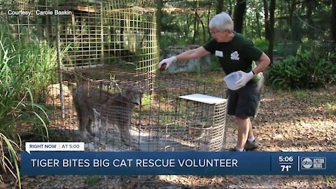 Volunteer receives extreme injury to arm after tiger bite at Carole Baskin's Big Cat Rescue in Tampa