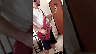 Symphony Of Destruction Megadeth. (Bass cover)