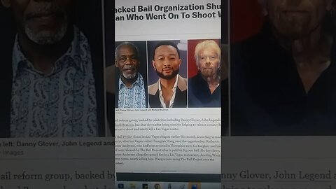 Chengyan Wang Sues THE BAIL PROJECT - A Celebrity Funded Bail Reform Group