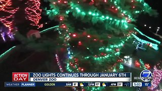 Denver Zoo Lights is lit up for the season