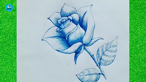 Rose flower pen sketch drawing by one color | Drawing Tutorial