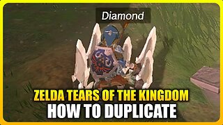 NEW Duplication Glitch in Zelda Tears Of The Kingdom