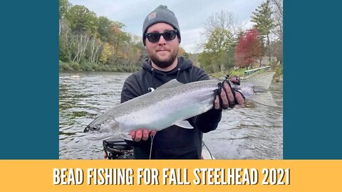Bead Fishing For Fall Steelhead / River Fishing For Steelhead / Chrome Fishing / Michigan Steelhead