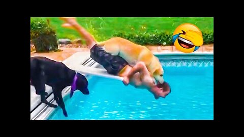 Best Funny Animal Videos 2022 😂 - Funniest Dogs and Cats Videos 😺😍