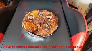 Dino D-3 how to make cake, with pineapple upside cake