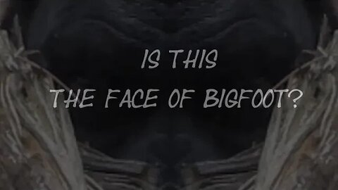 Is this the face of Bigfoot? Todd Standing ENHANCED bigfoot footage.