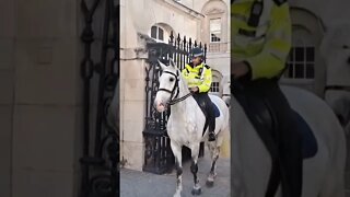 Beautiful grey police horses #horseguardsparade