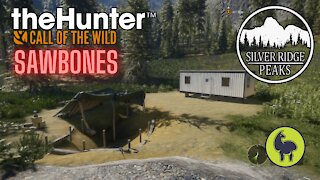 TheHunter: Call of the Wild, Sawbones, Silver Ridge Peaks (PS5 4K)