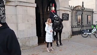 Horse tries to take her hand bag #horseguardsparade