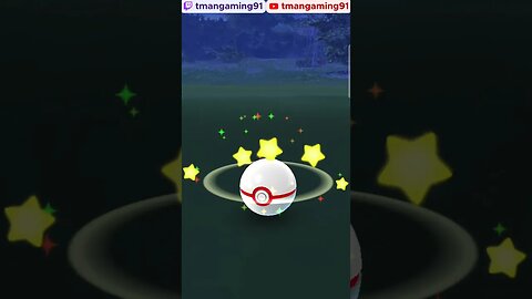Pokémon GO-Shadow Squirtle