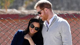 Are Prince Harry And Meghan Markle Moving To Africa?