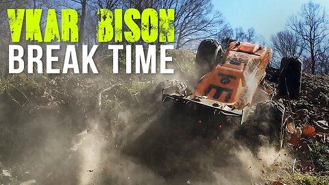 VKar Bison Break Time - Best Break Ever!