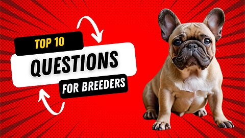 Top Questions to Ask a Dog Breeder BEFORE Paying a Deposit