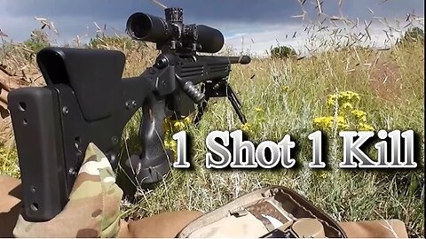 1 Shot 1 Kill 338 Lapua Magnum