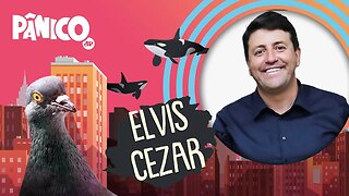 ELVIS CEZAR - PÂNICO - 26/04/22