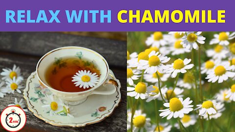 The Relaxing Effects of Chamomile and How it Can Help You Relax