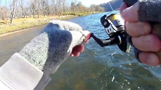 Episode #37 Bull Shoals White River State Park Part 2- Trout are fun to catch!