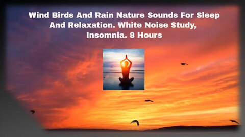 Wind Birds And Rain Nature Sounds For Sleep And Relaxation. White Noise Study, Insomnia. 8 Hours