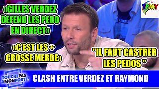 VERDEZ DEFEND LES **** ET CLASH RAYMOND ET KARL ZERO SUR TPMP #guillaumegenton #HANOUNA #dieudo