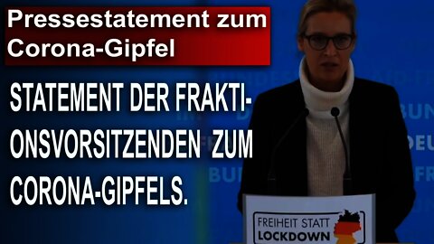 Pressestatement zum Corona-Gipfel, Alice Weidel und Alexander Gauland, AfD