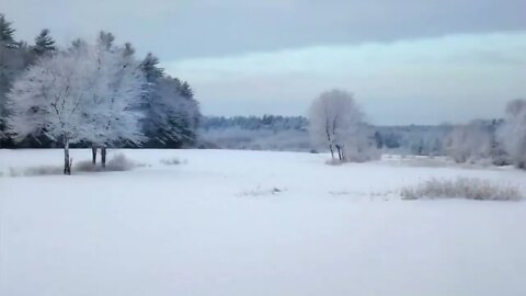 How to Paint an Impressionistic Snowscene in Acrylics