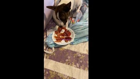 Princess gets breakfast in bed!