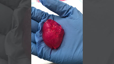 A Company Have 3D Printed a Mini Human Heart