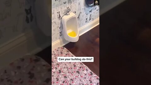 🤣 🐶 Can your bulldog pee like this 😂 | #Funny #dog #short videos 2023