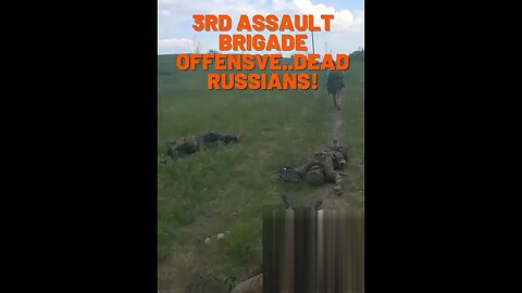 3rd assault brigade offensive dead Russians