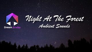 8 Hours of Ambient Sounds | Night At The Forest