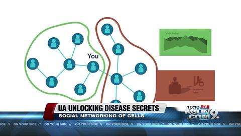 UA study uses "social networking" of cells to find cure for cancer