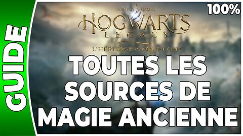Hogwarts Legacy : l'Héritage de Poudlard - TOUTES LES SOURCES DE MAGIE ANCIENNE - 100% - [PS5 - FR]