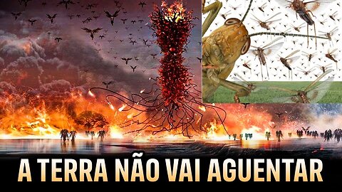 EXTINÇÃO DOS INSETOS - apocalipse dos insetos pode acontecer se mudança climática não for controlada