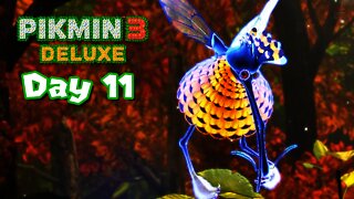 Pikmin 3 Deluxe - Day 11 - Scornet Maestro Boss Fight