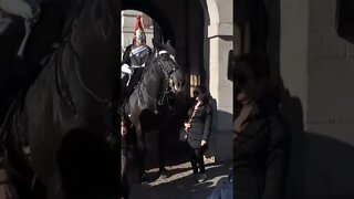 yanking the Reins away from her #horseguardsparade