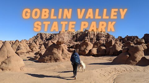 Goblin Valley State Park, Utah. Golden retriever chased by goblins through the rocks