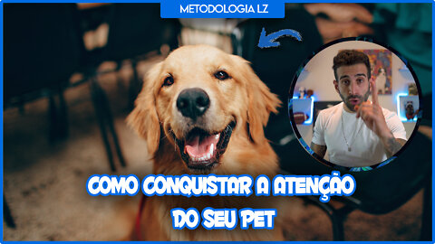 METODOLOGIA LZ | COMO CAPTAR A ATENÇÃO DO SEU PET